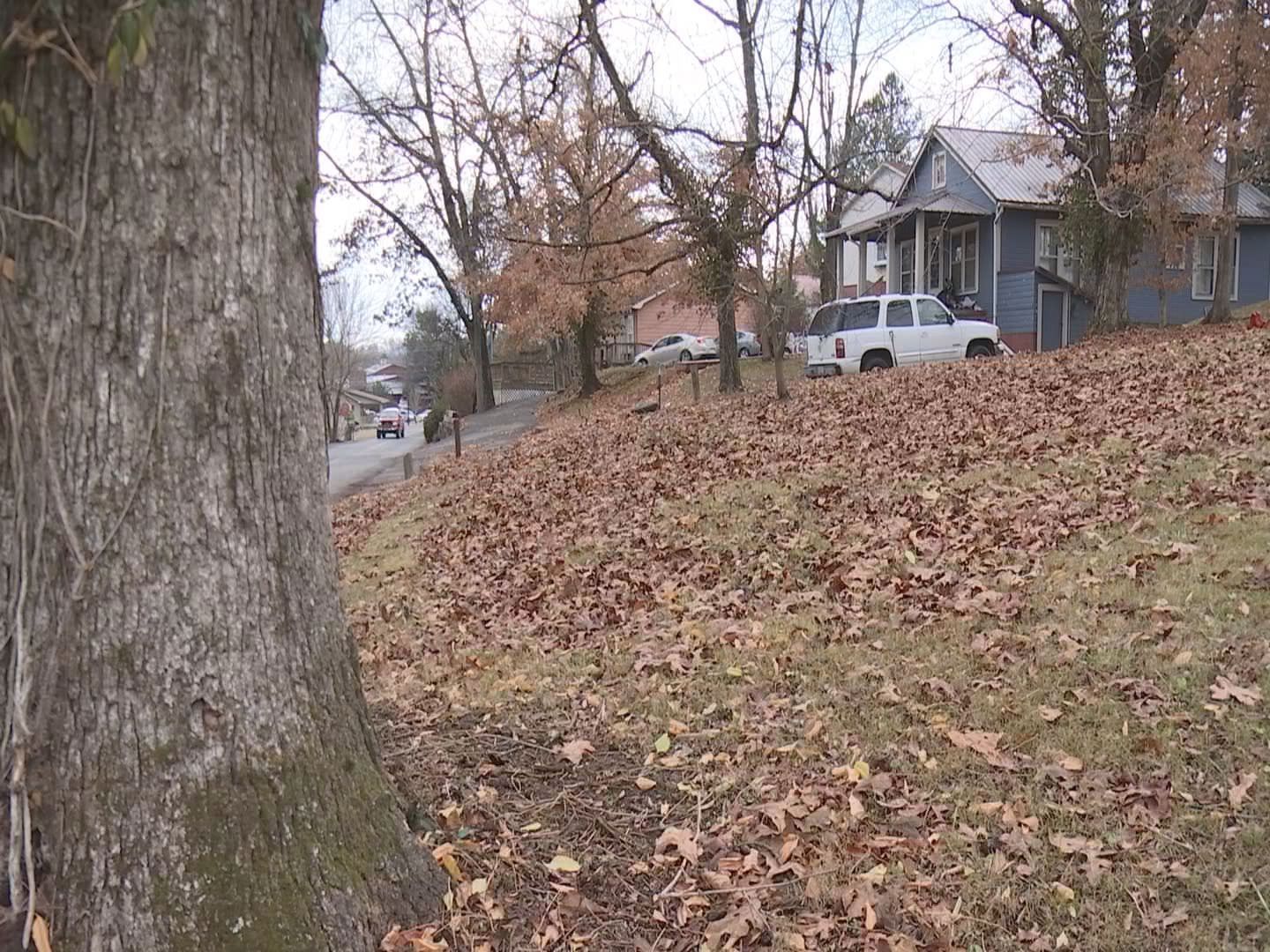 With fewer deputies, Livingston County uses neighborhood watch p WPSD