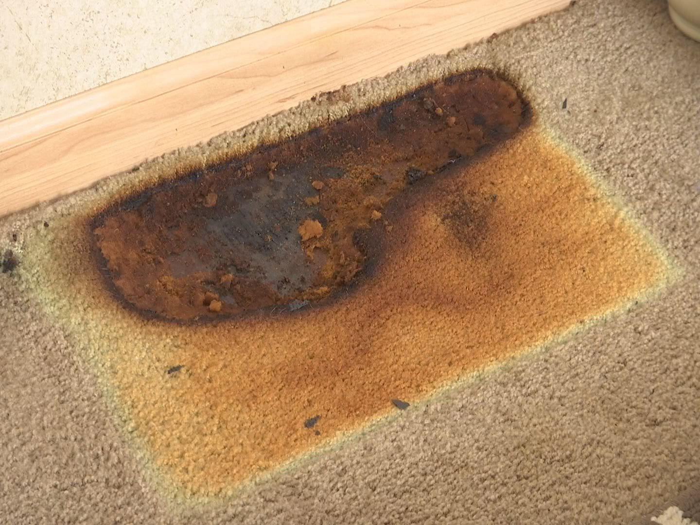 Pet heating pad burns though carpet at local home WPSD Local 6 Your