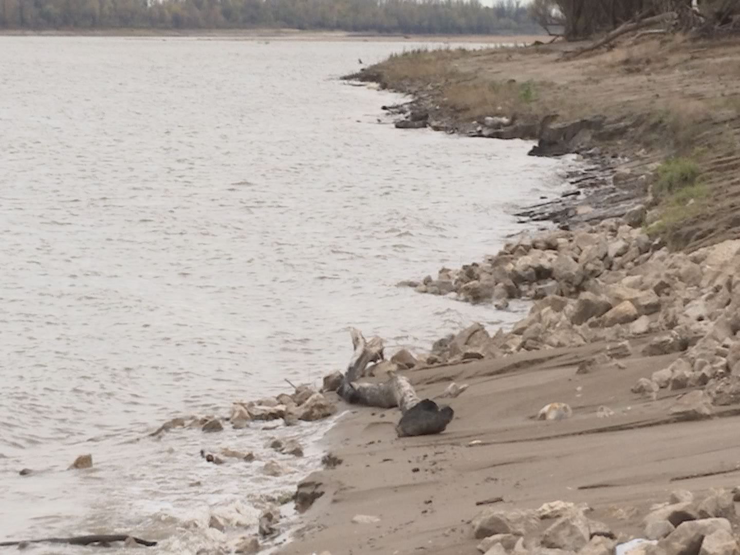 Autopsies completed on couple found dead in Mississippi River WPSD